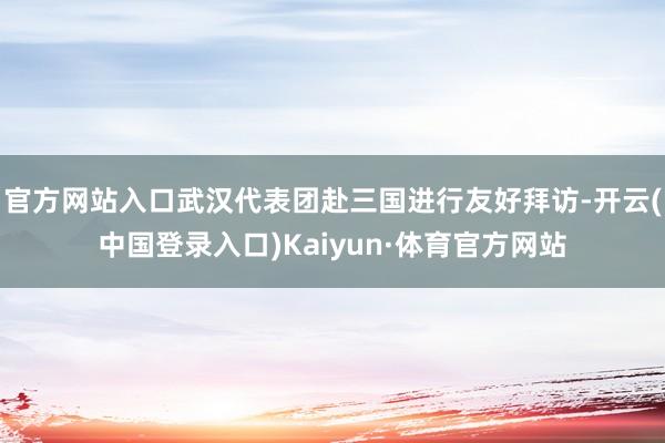 官方网站入口武汉代表团赴三国进行友好拜访-开云(中国登录入口)Kaiyun·体育官方网站